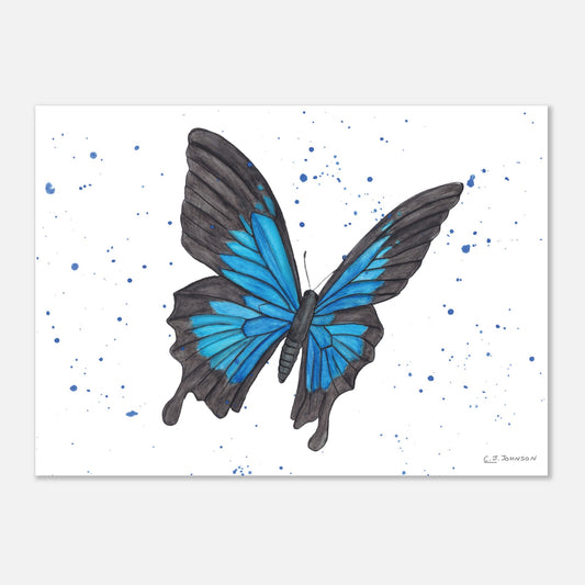 51aa80d4-bab8-4dcd-baa4-5295690c1da4