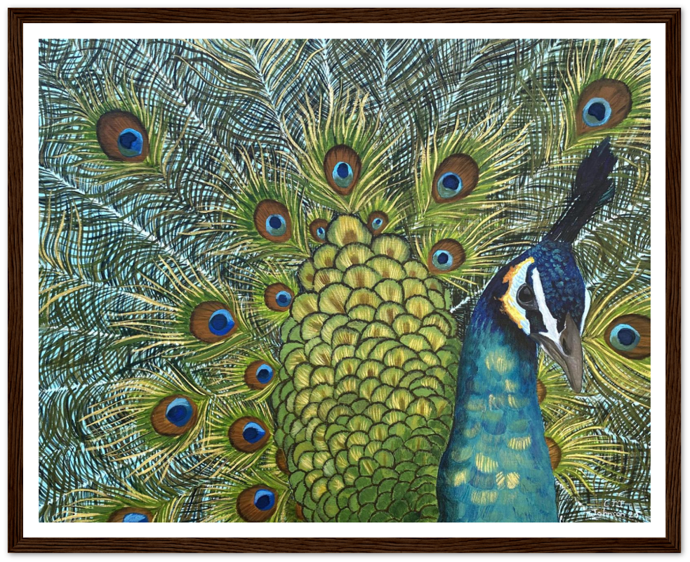 Strut Like a Peacock PAPER PRINT