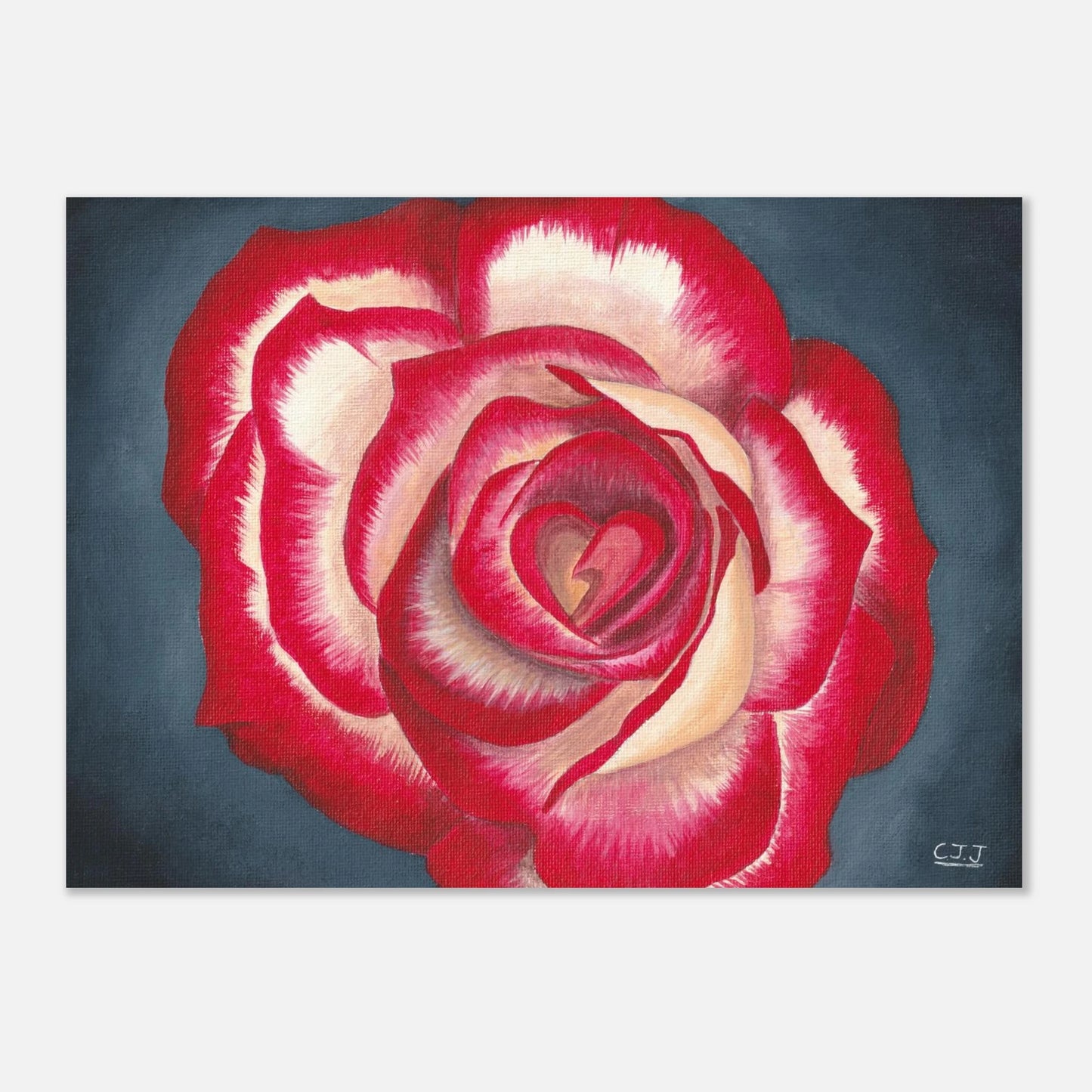 c340bb37-4705-43f8-af45-c3006cd73859