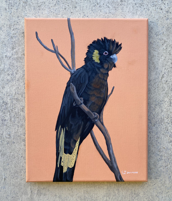 Yellow Tailed Black Modern Realism Painting