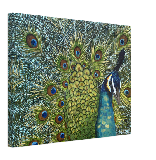 Strut Like a Peacock CANVAS PRINT